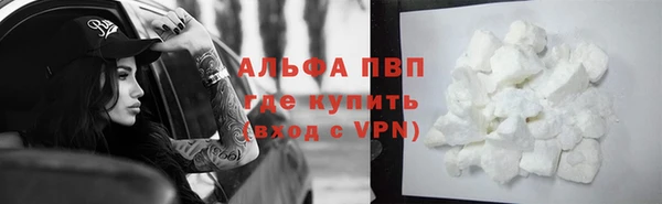 PSILOCYBIN Балахна