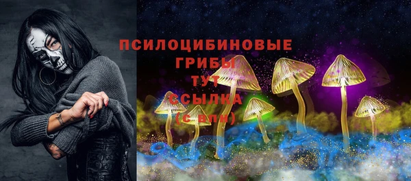 PSILOCYBIN Балахна