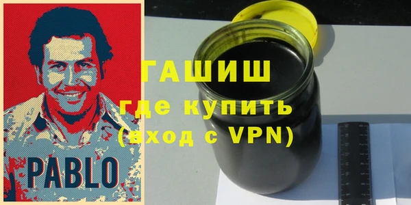 шишки Снежногорск